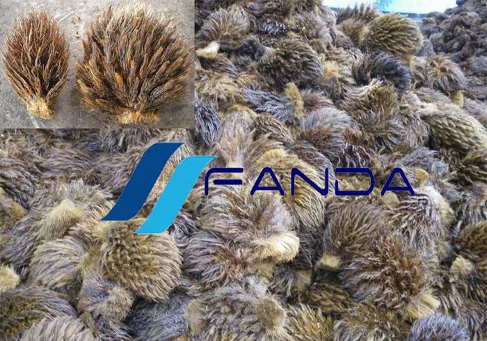 EFB (Palm Empty Fruit Bunch)